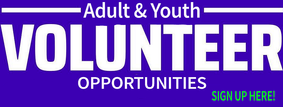 Volunteer 